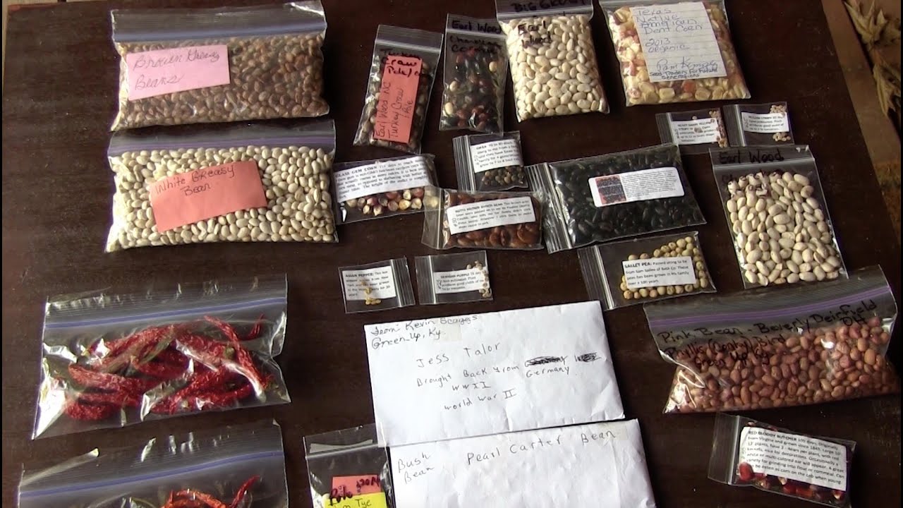 how to store heirloom seeds
