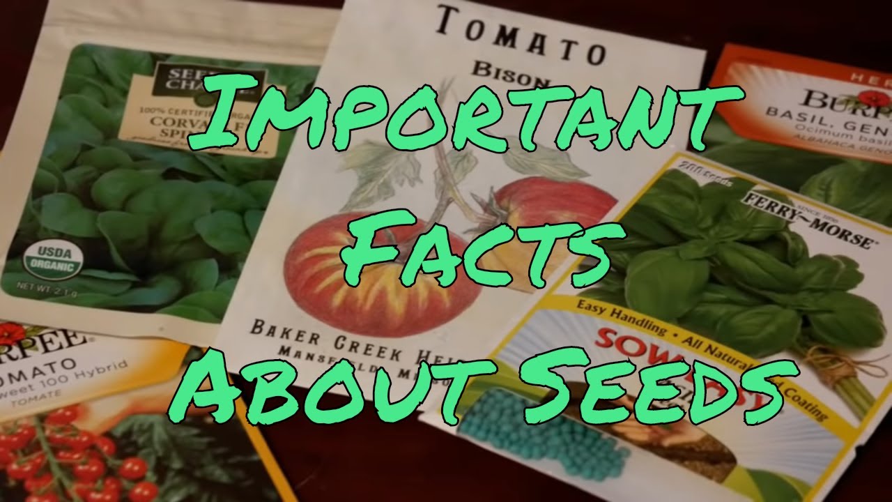 what is the difference between heirloom seeds and organic seeds